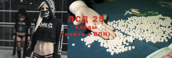 PSILOCYBIN Абаза