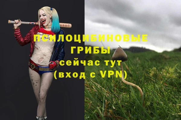 экстази Лиски