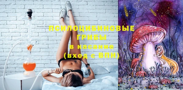 МДПВ Абинск