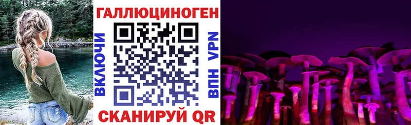 Псилоцибиновые грибы MAGIC MUSHROOMS  Туапсе 